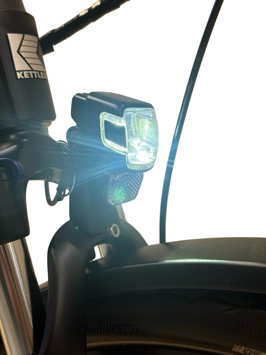 Kettler Quadriga T&C Pro Belt E-Bike Shimano Nexus 2022 (5)