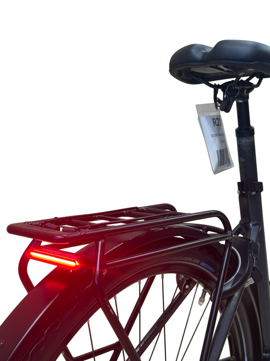Kettler Quadriga T&C Pro Belt E-Bike Shimano Nexus 2022 (3)