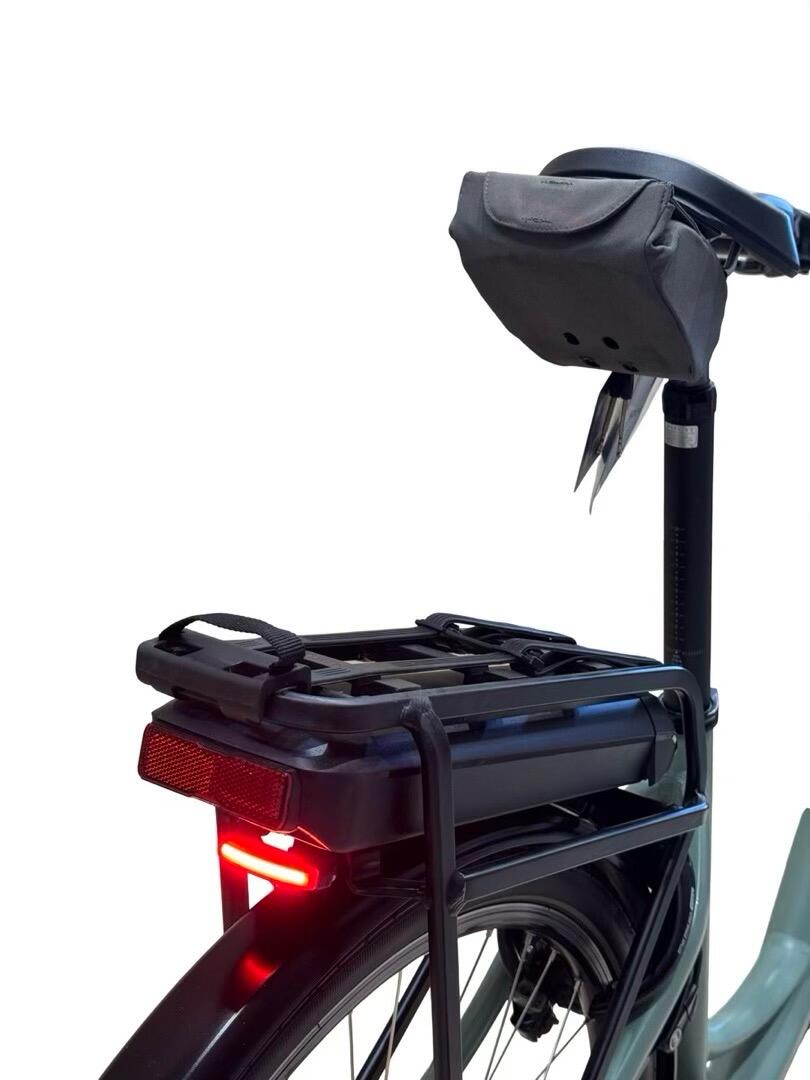 Riese & Müller Swing4 Silent E-Bike Shimano Nexus 2024 (3)