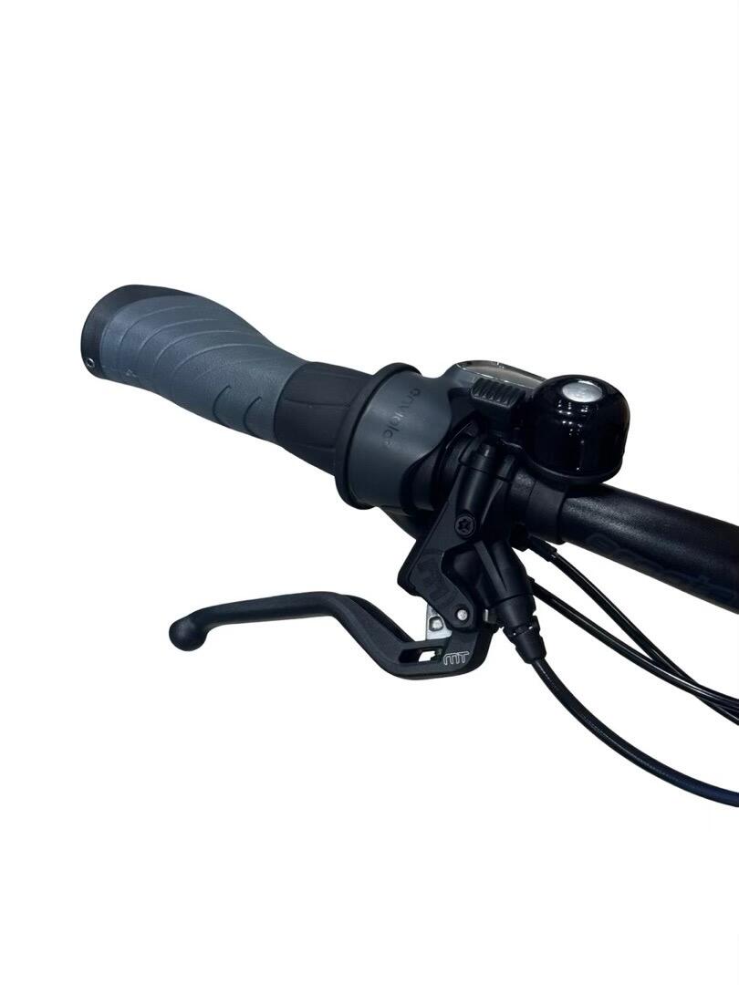 Riese & Müller Charger3 Mixte GT Vario E-Bike Enviolo 2022 (5)