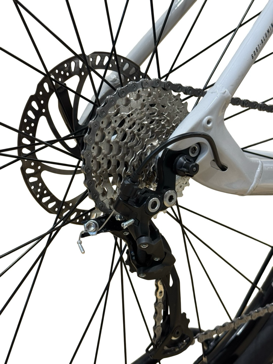 Bulls LT EVO CX 625 29 inch E-Mountainbike Shimano Alivio 2022 (4)
