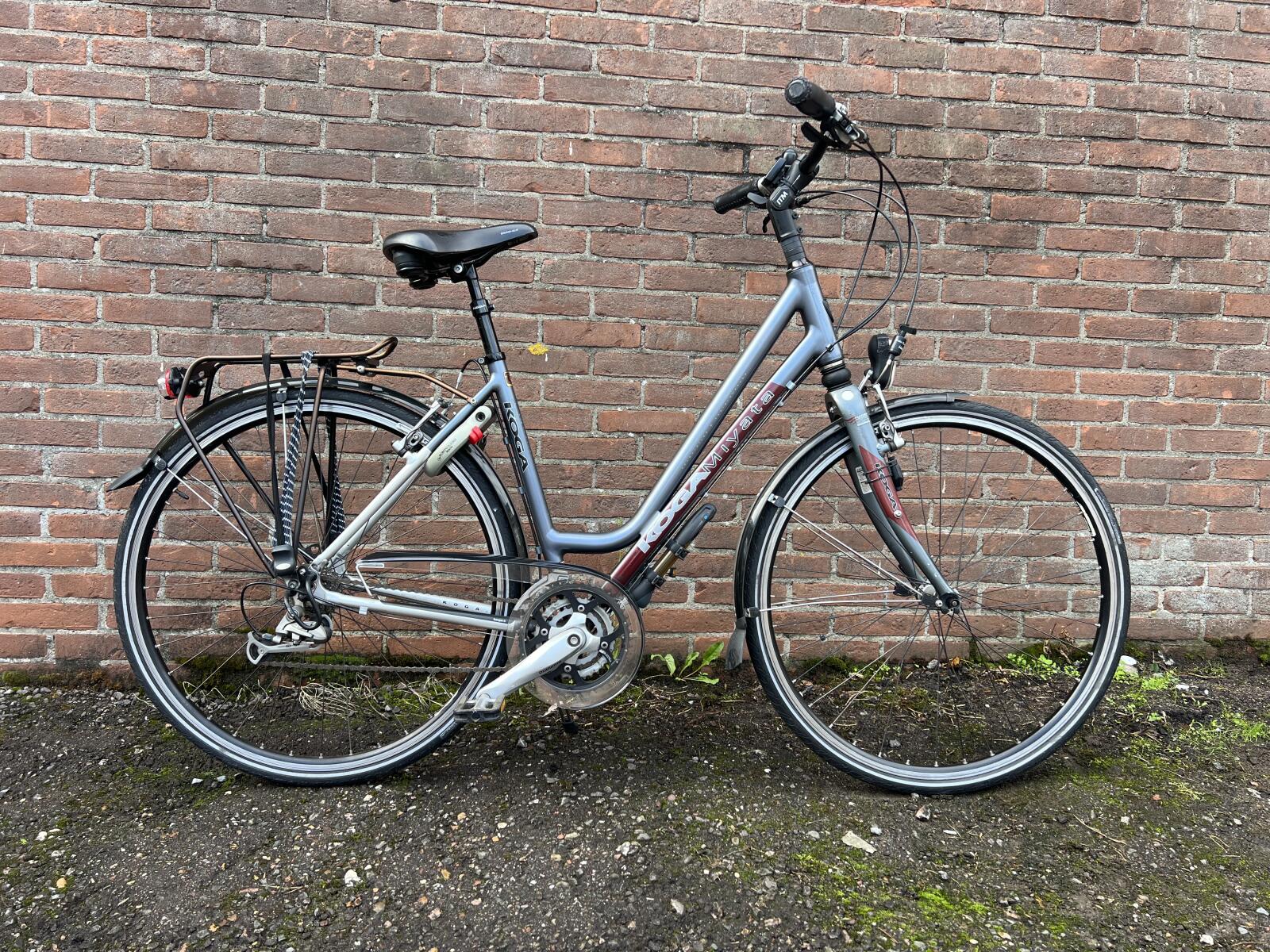 Blue Koga-Miyata