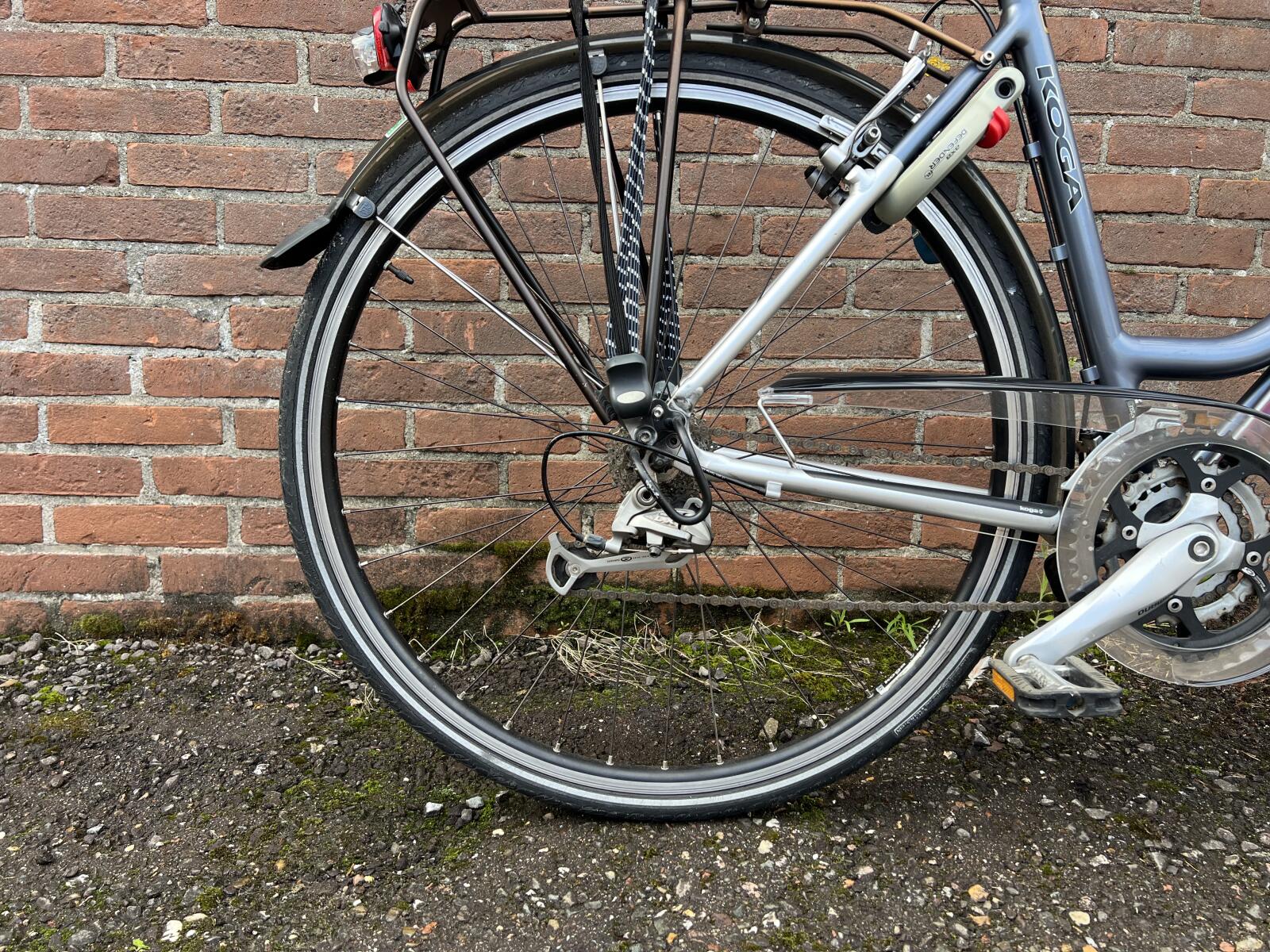 Blue Koga-Miyata (4)