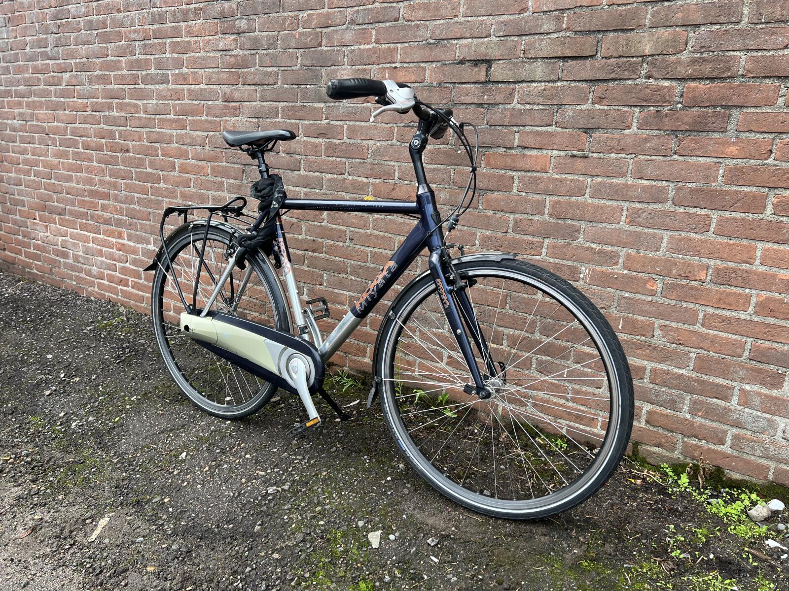 Blue Koga-Miyata Terraliner (3)