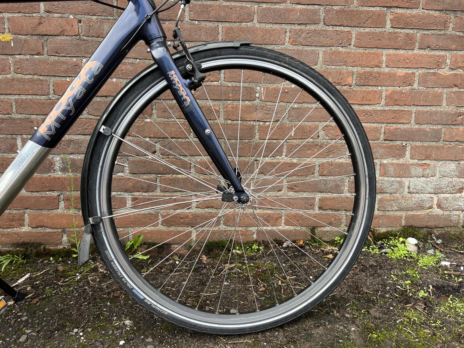 Blue Koga-Miyata Terraliner (5)