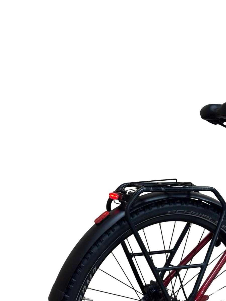 Bulls Landscape Evo E-Bike Shimano Alivio 2022 (3)