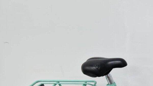 Alpina kinderfiets  | Gebruikt | 3 maanden garantie | 20, blue (5)