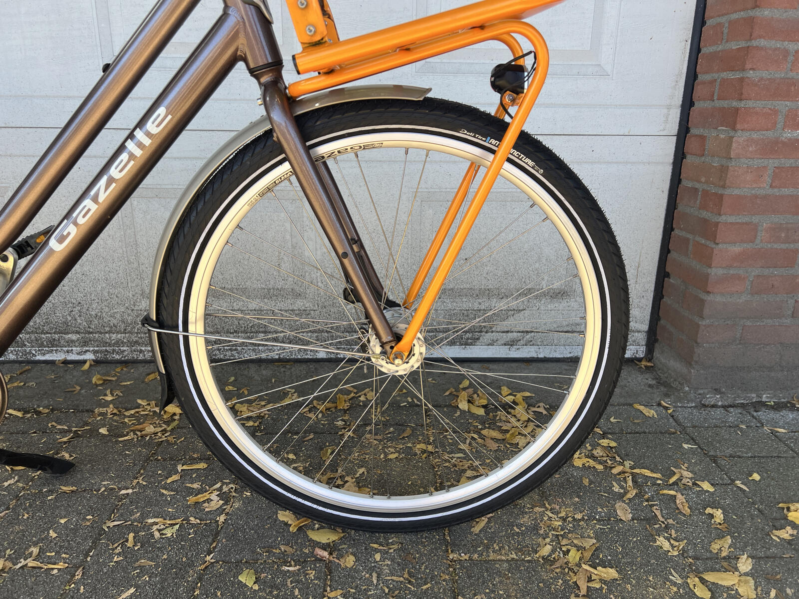 Brown Gazelle Heavy Duty (5)