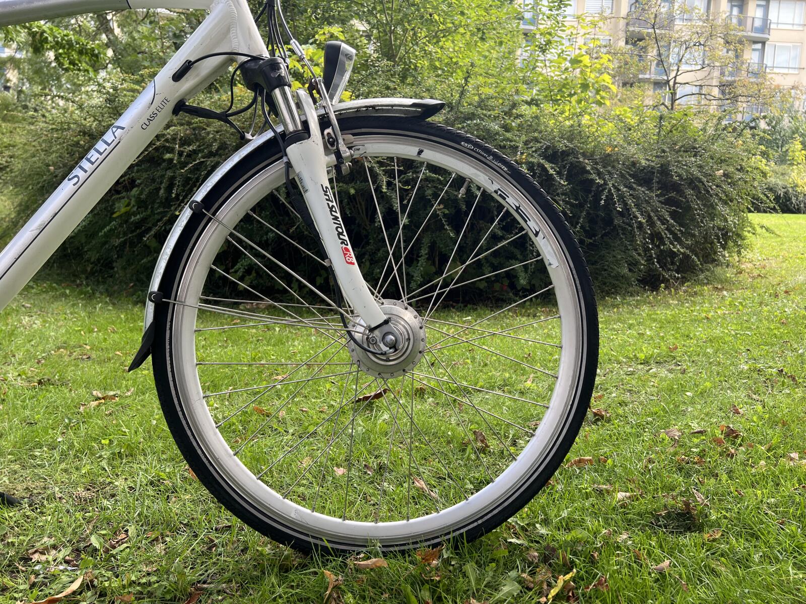 White Stella Avenza (5)