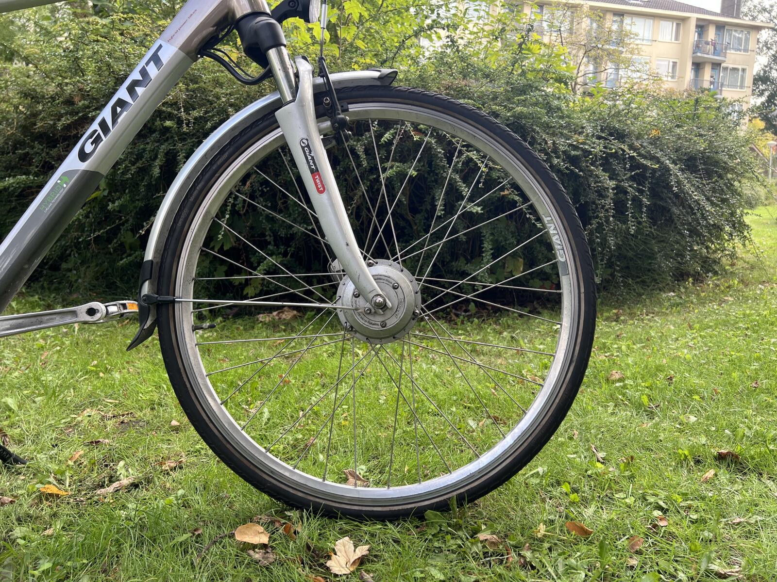 Grey/metal Giant Twist (5)
