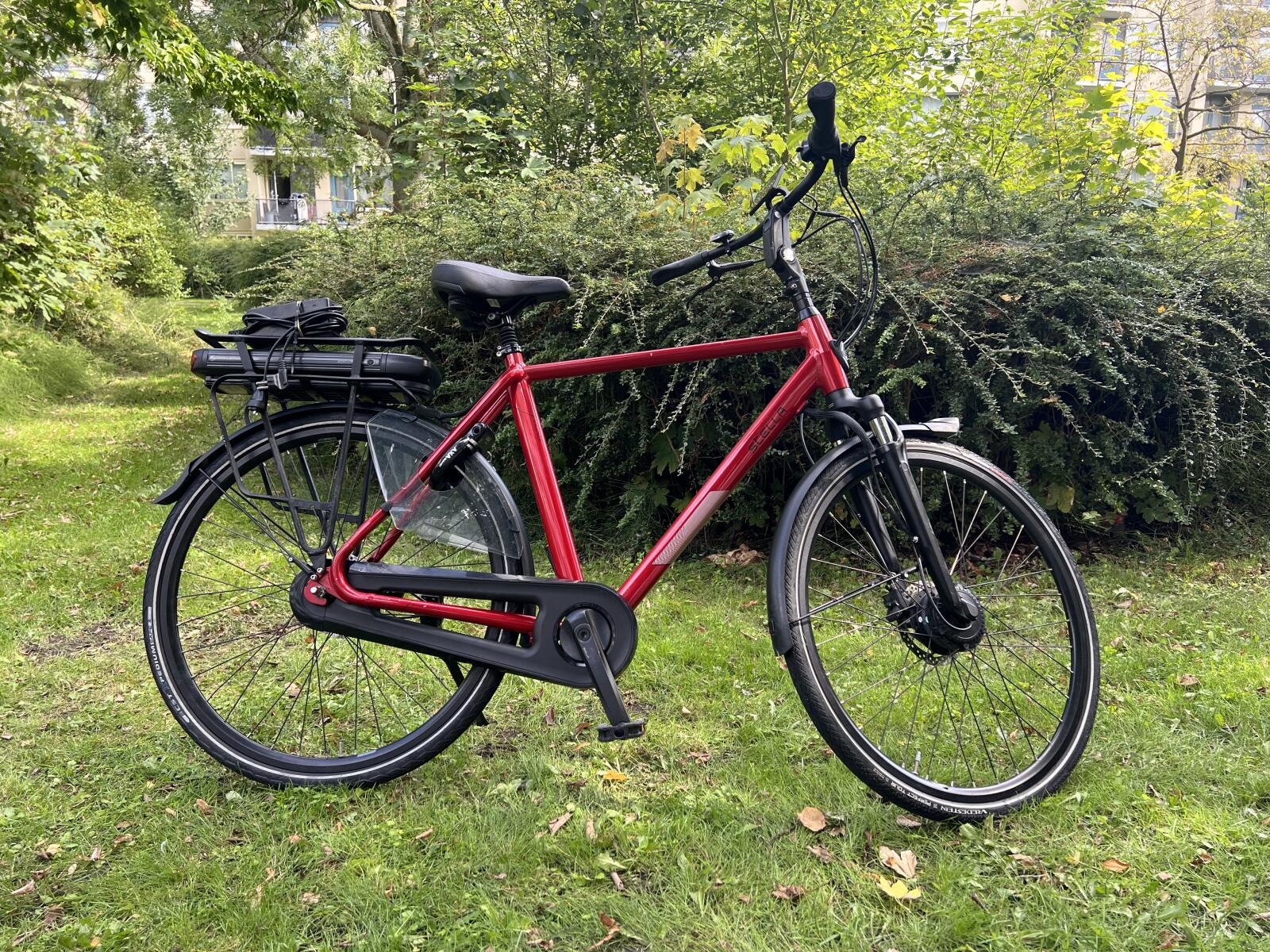 Red Stella Vicenza