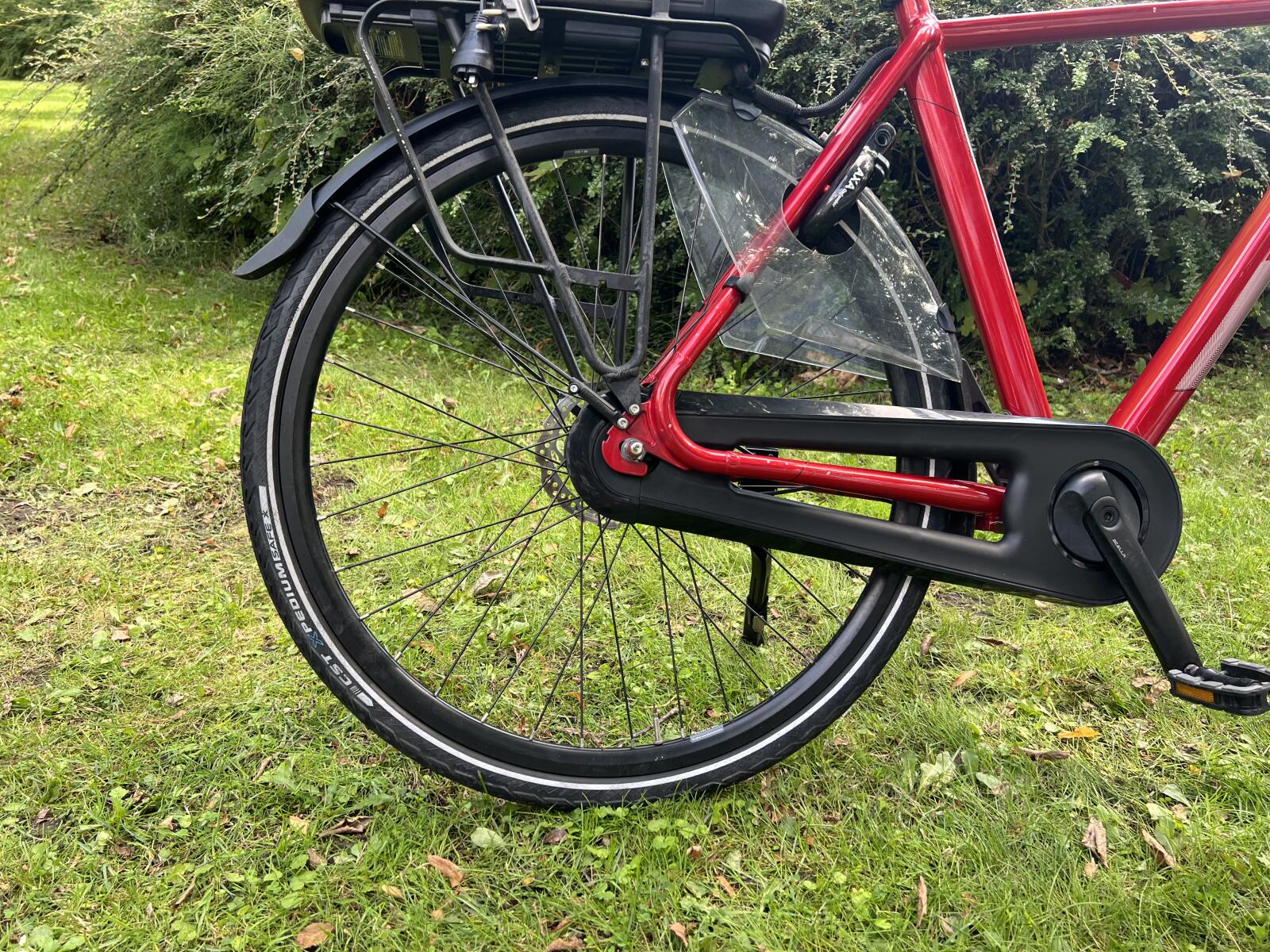 Red Stella Vicenza (5)