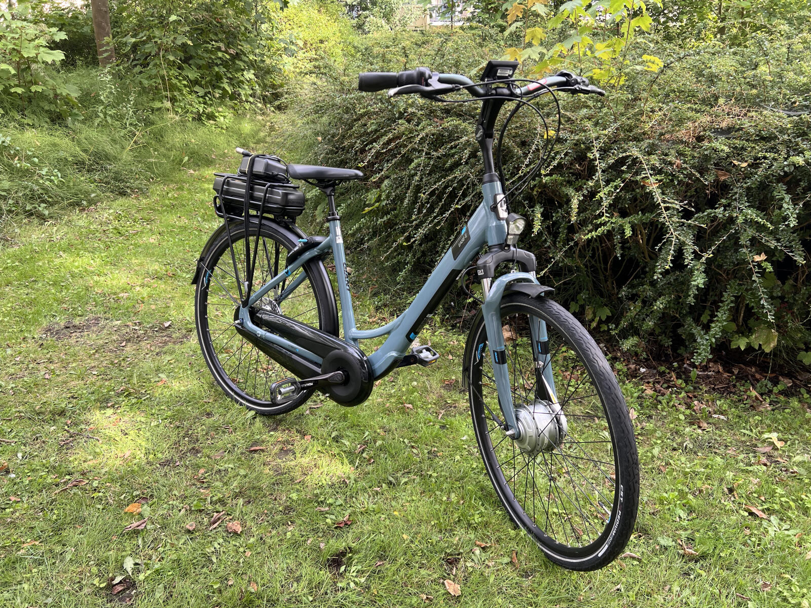 Blue Giant Ease-E (3)