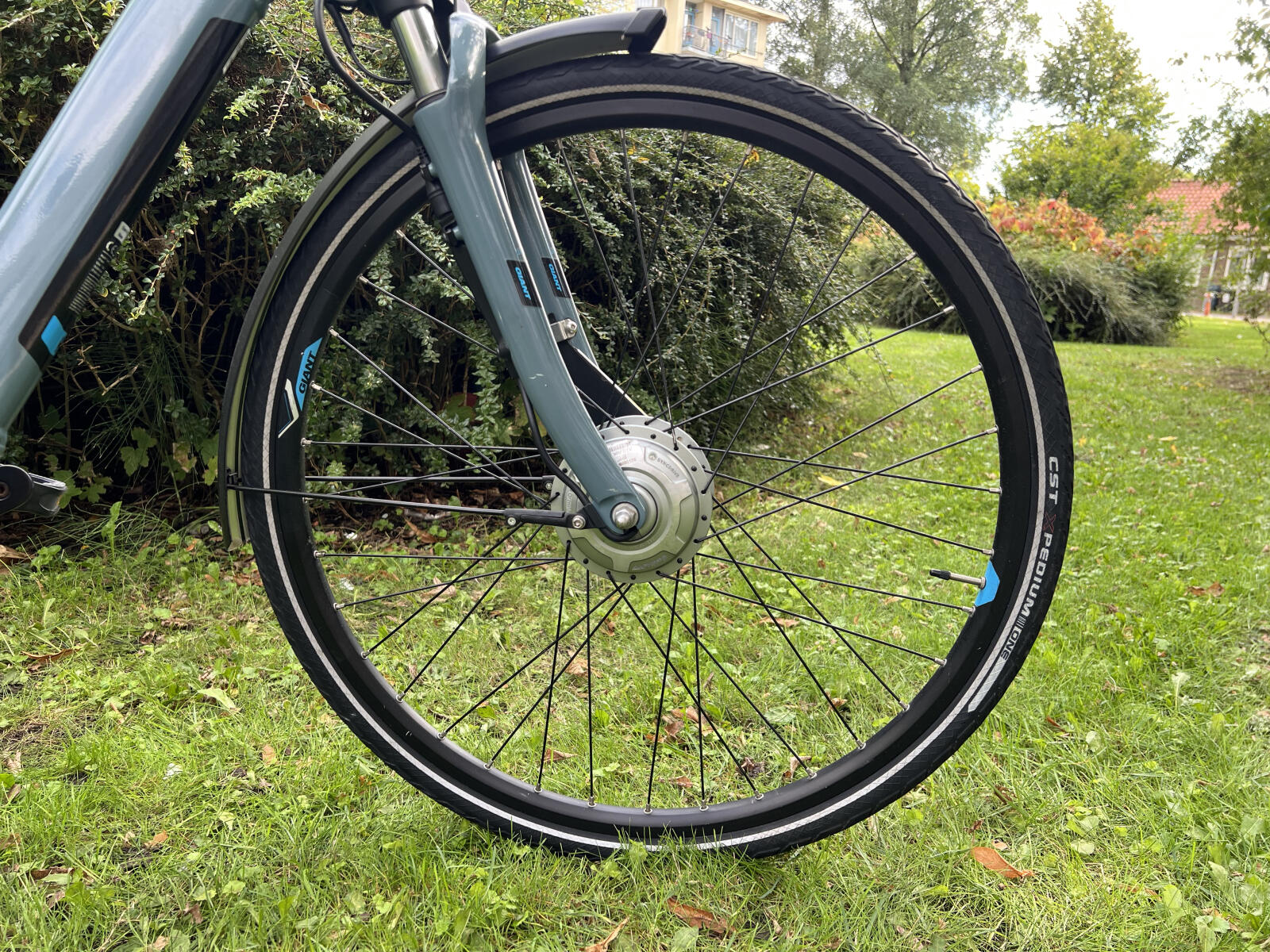 Blue Giant Ease-E (5)