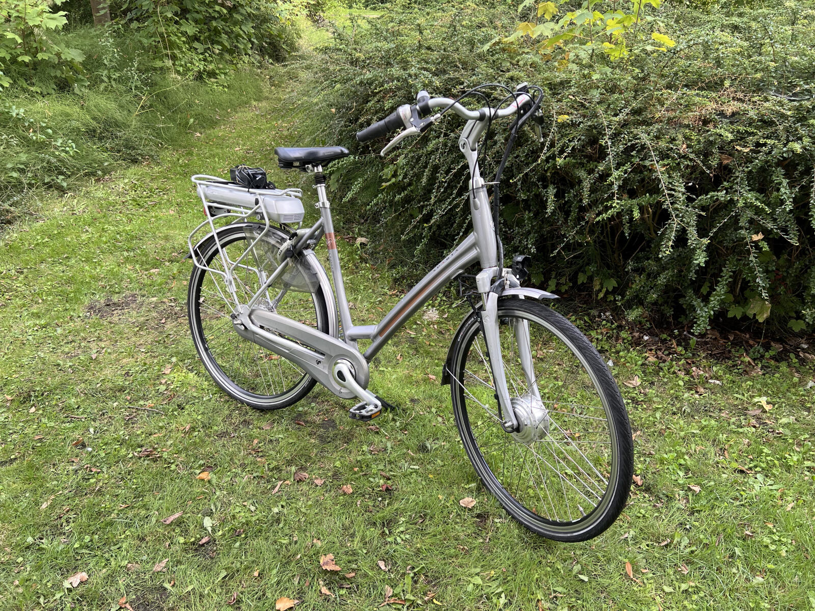 Grey/metal Sparta E Motion C-2 (4)