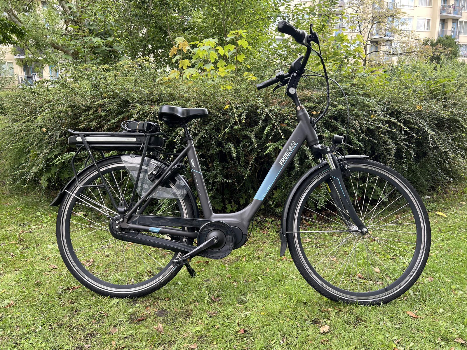 Grey/metal Freebike Soho