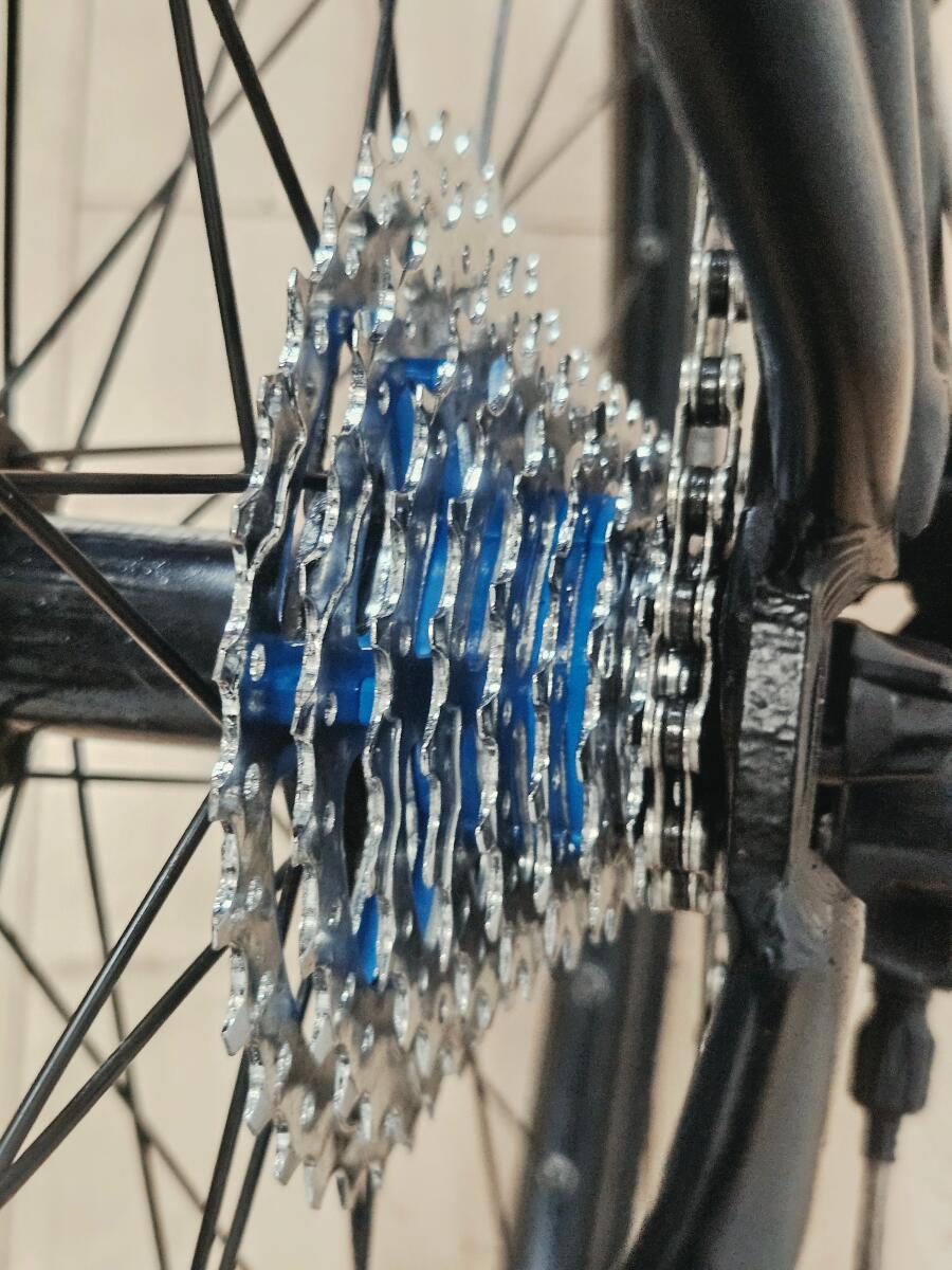 Zwart Koga (5)