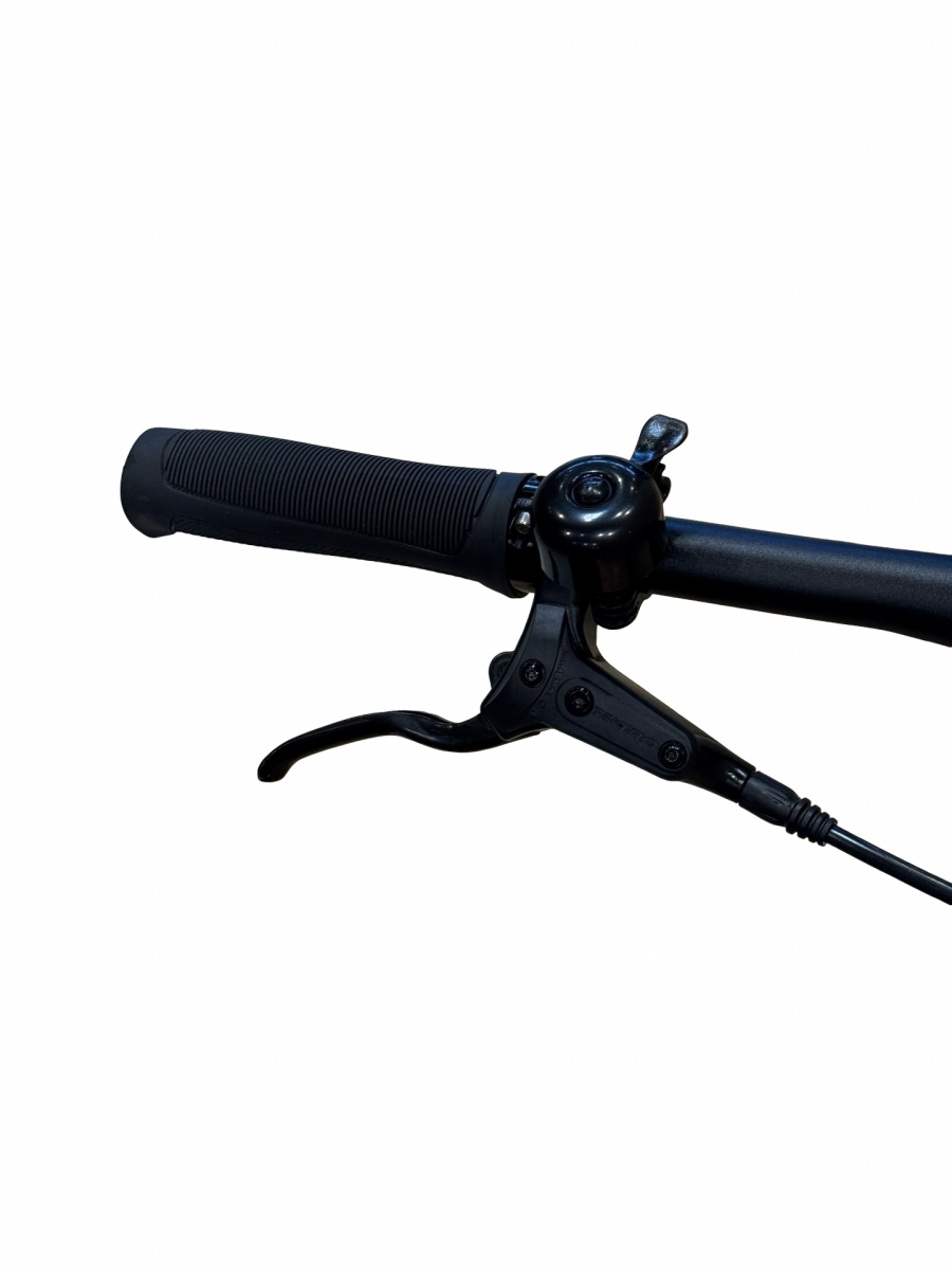 Tenways CGO600 Pro E-Bike Single-Speed 2023 (5)