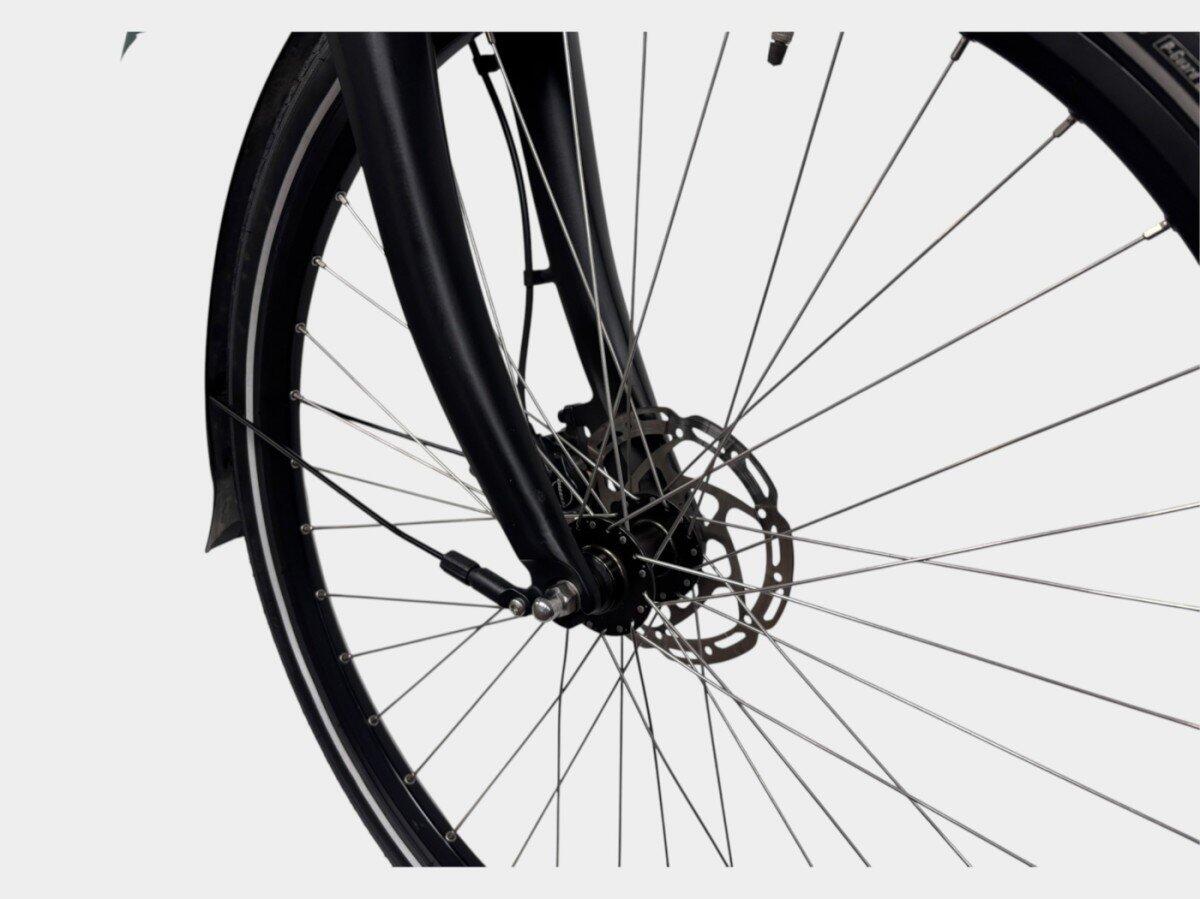 Batavus Finez E-go, Shimano Nexus, grey/metal (4)