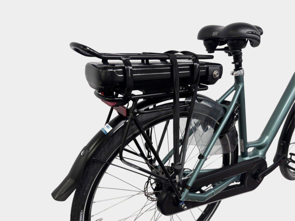 Batavus Finez E-go, Shimano Nexus, grey/metal (3)