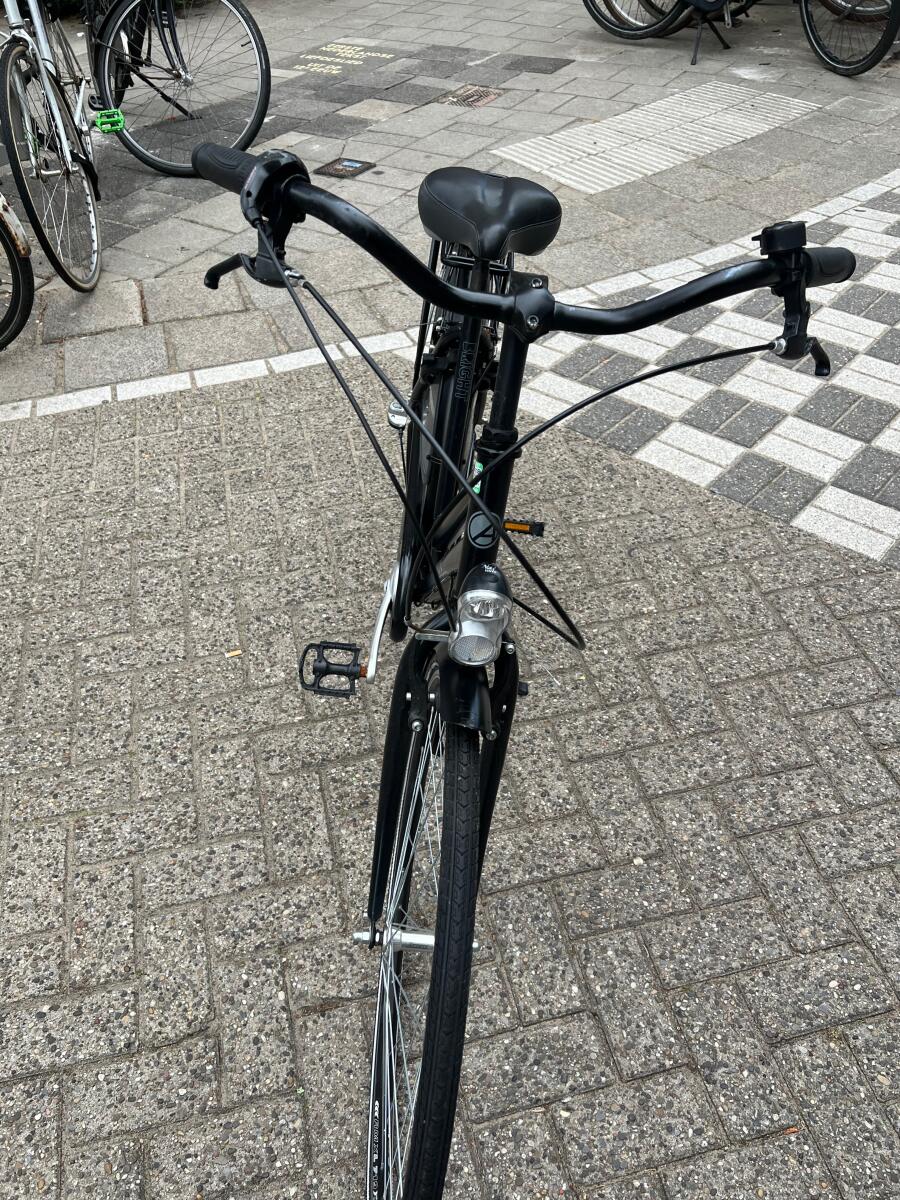 Amigo City Bike (4)