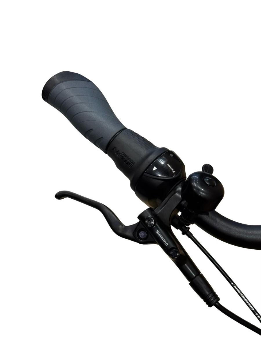 Giant Dailytour E+ 2 D LDS E-Bike Shimano Nexus 2023 (5)