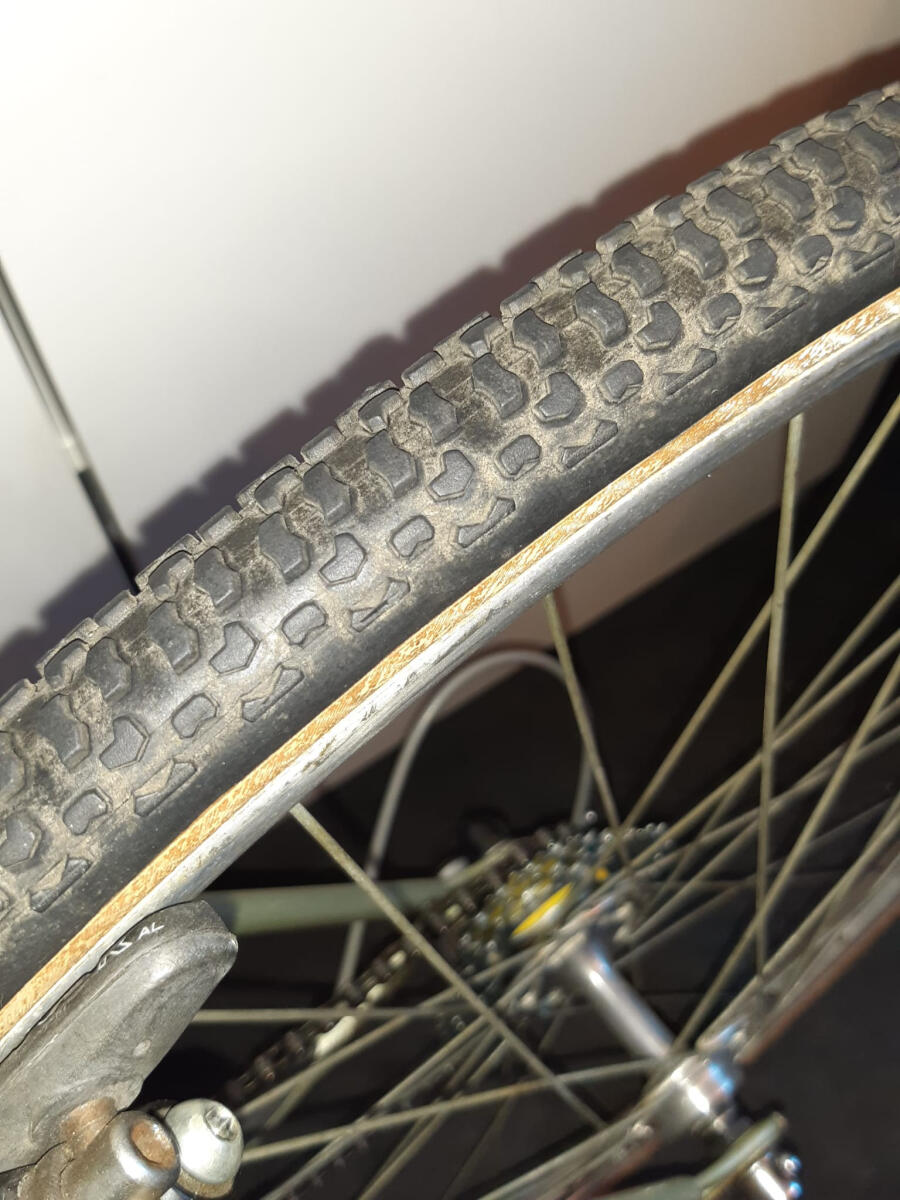 Groen Gazelle Cross Trophy (5)