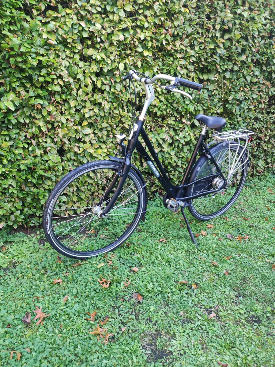 Ready for use Batavus city bike with 7 gears (4)