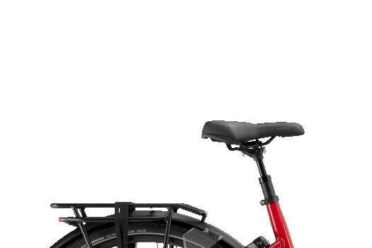 Pegasus Ravenna EVO 7F Belt, Shimano Nexus, red (5)