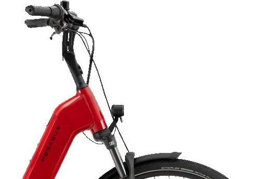 Pegasus Ravenna EVO 7F Belt, Shimano Nexus, red (4)