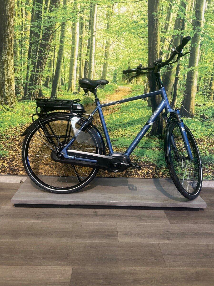 Pegasus Ravenna 8, Shimano Nexus, blue
