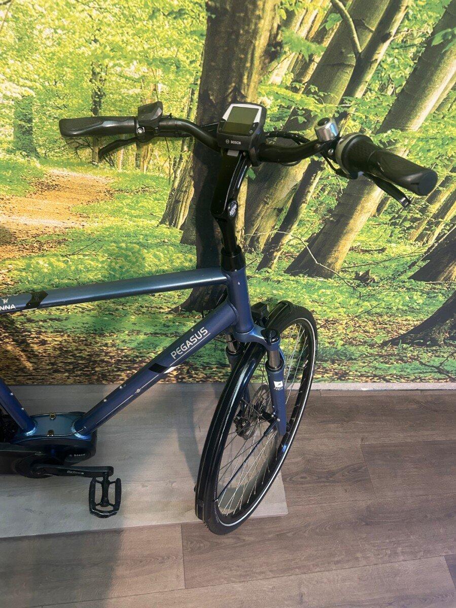 Pegasus Ravenna 8, Shimano Nexus, blue (4)
