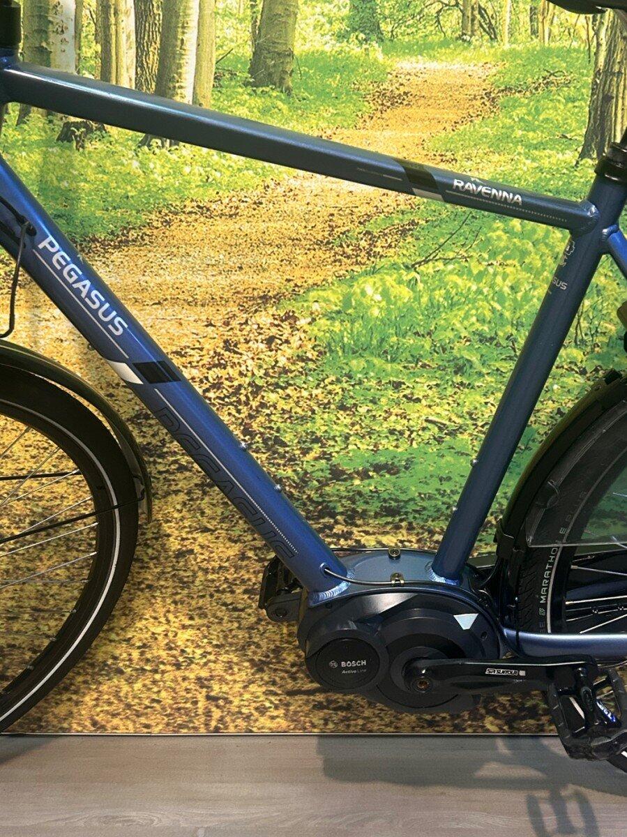 Pegasus Ravenna 8, Shimano Nexus, blue (5)