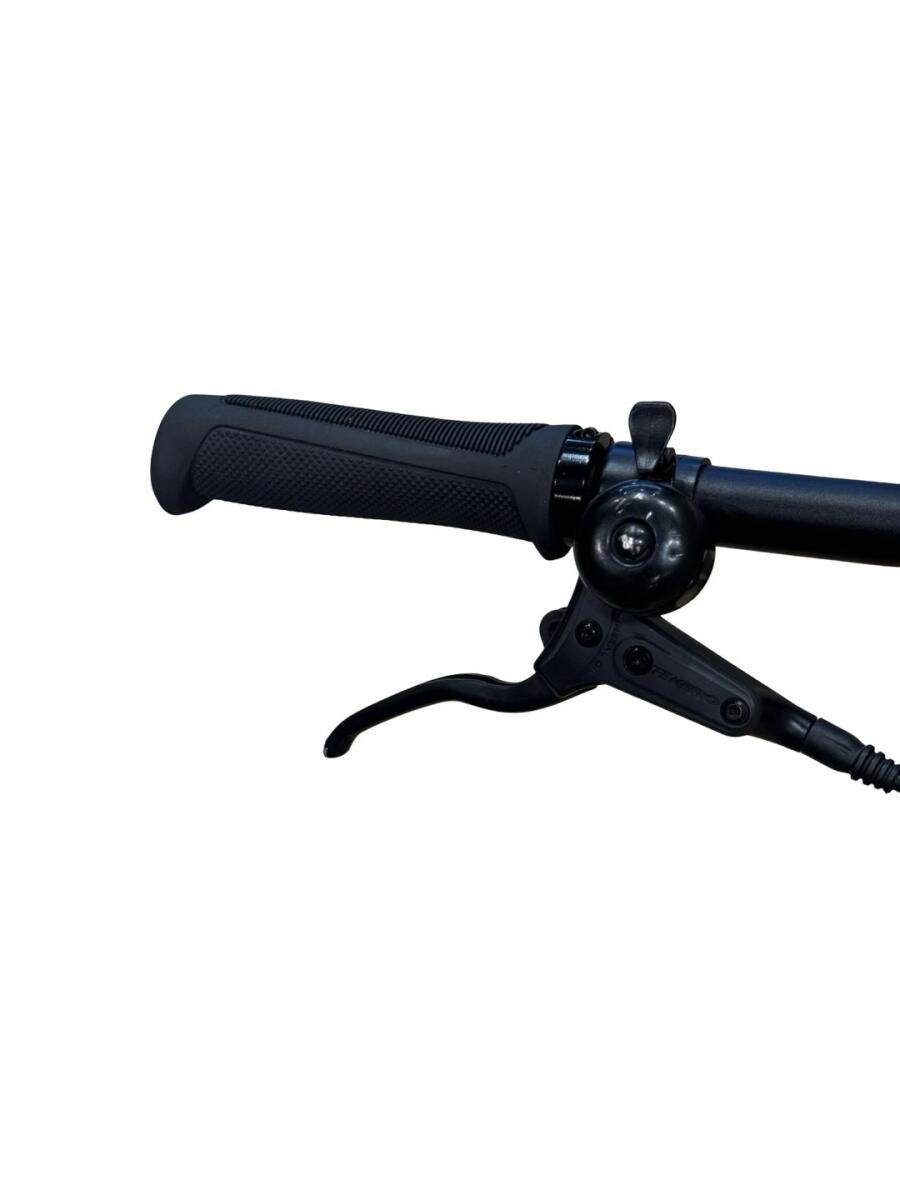 Tenways CGO600 Pro E-Bike Single-Speed 2024 (5)