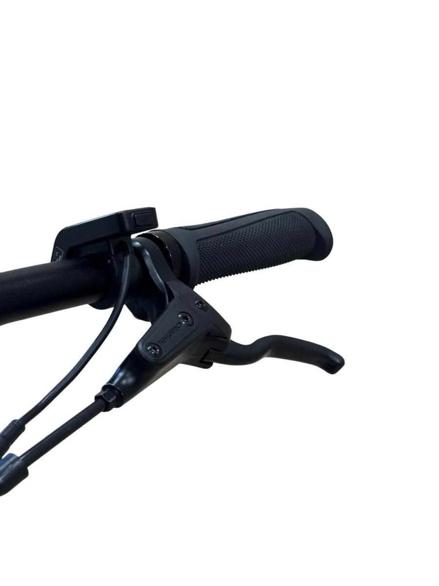 Tenways CGO600 Pro E-Bike Single-Speed 2024 (4)