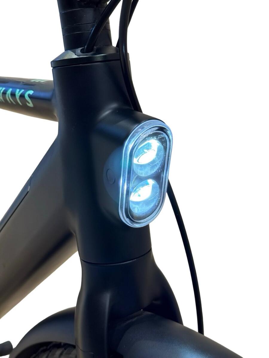 Tenways CGO600 Pro E-Bike Single-Speed 2023 (3)