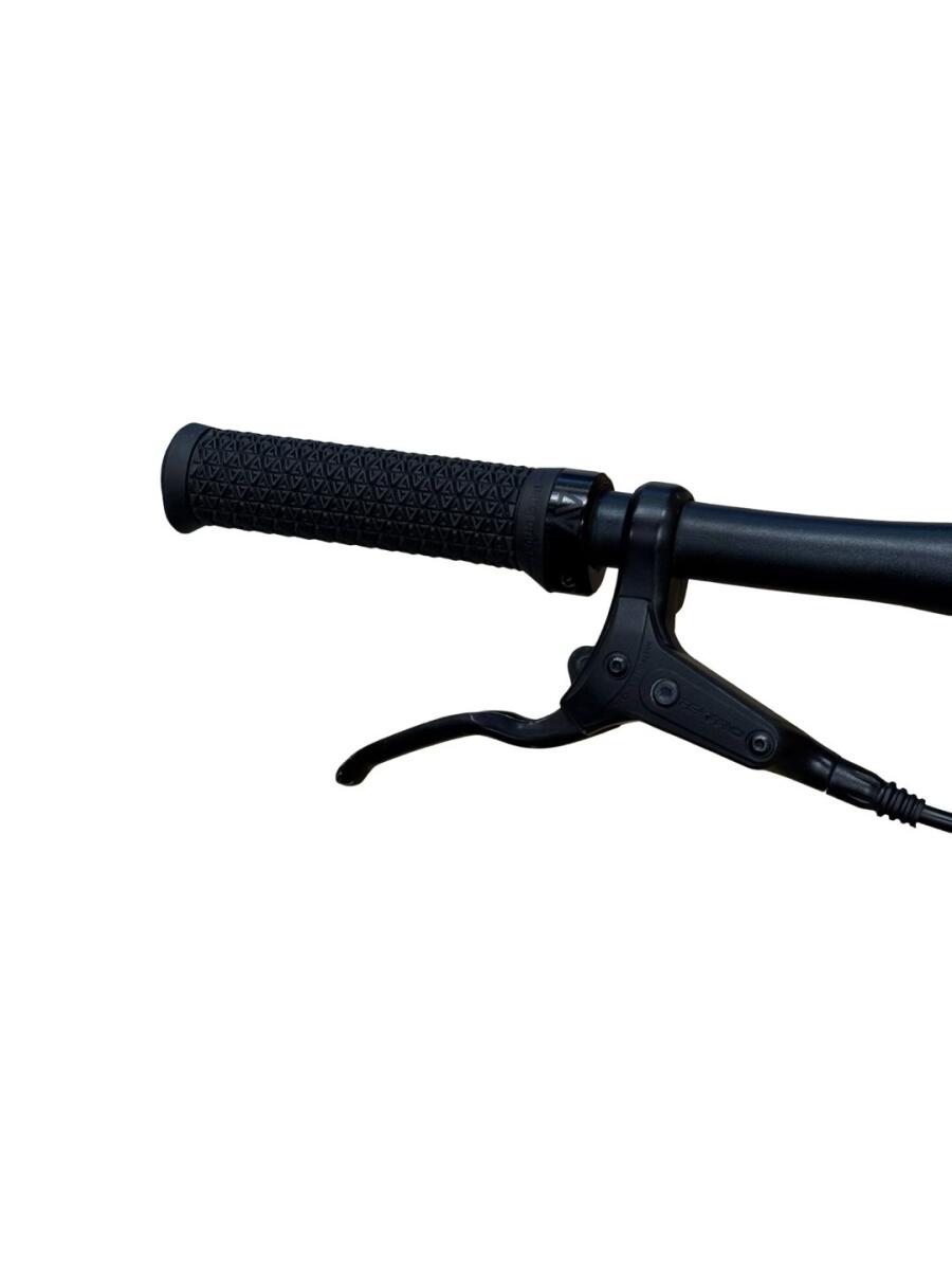 Tenways CGO600 E-Bike Single-Speed 2022 (5)