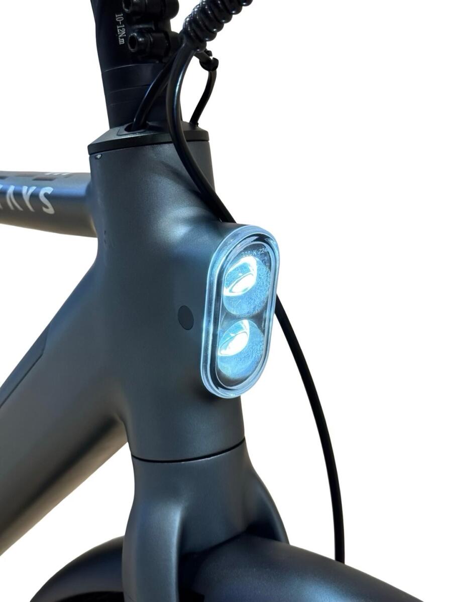 Tenways CGO600 Pro E-Bike Single-Speed 2024 (3)