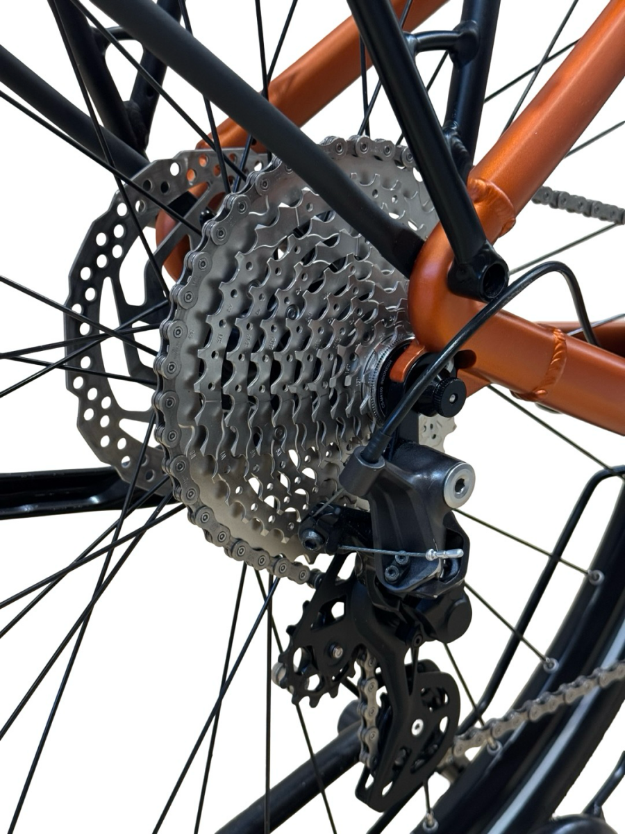 Giant DailyTour E+ 2 LDS E-Bike Shimano Deore 2023 (4)