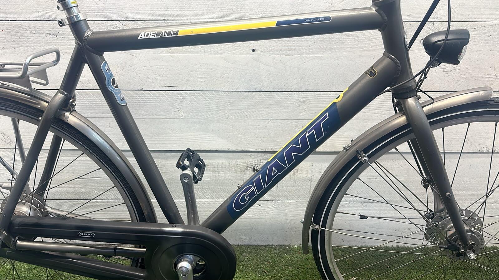 Giant city bike, grey/metal (3)