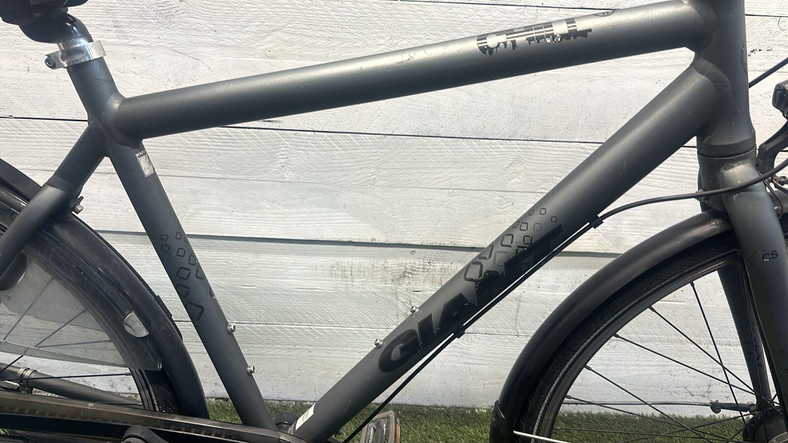 Giant city bike, grey/metal (3)