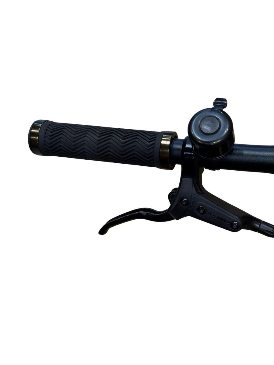 Tenways CGO600 E-Bike Single-Speed 2023 (5)
