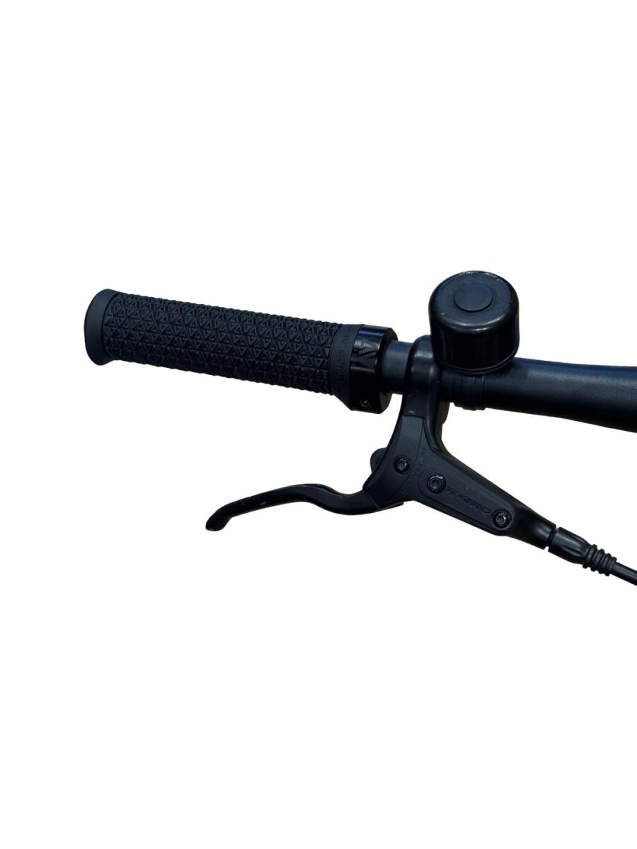 Tenways CGO600 E-Bike Single-Speed 2022 (5)