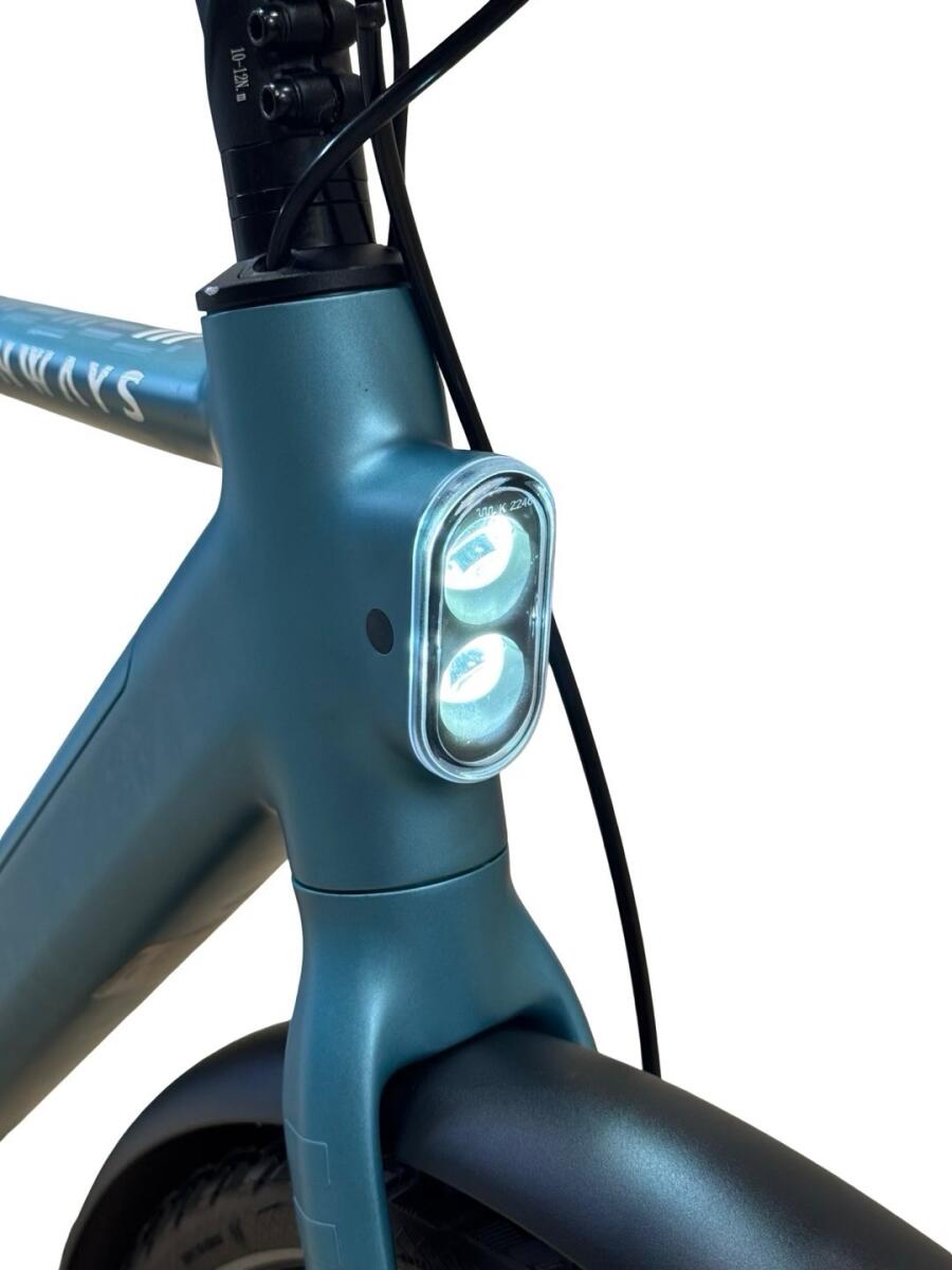 Tenways CGO600 PRO E-Bike Single-Speed 2023 (3)