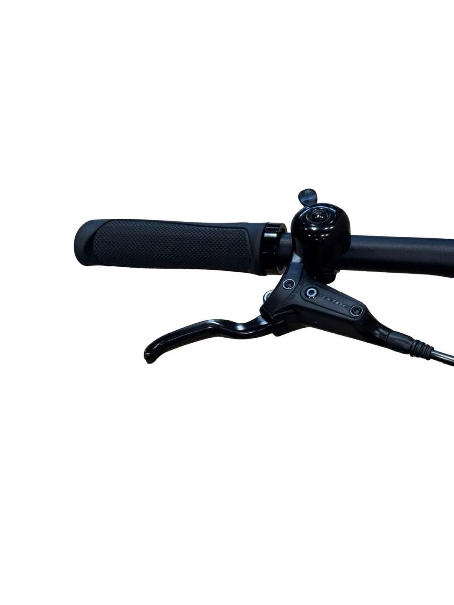 Tenways CGO600 PRO E-Bike Single-Speed 2023 (5)