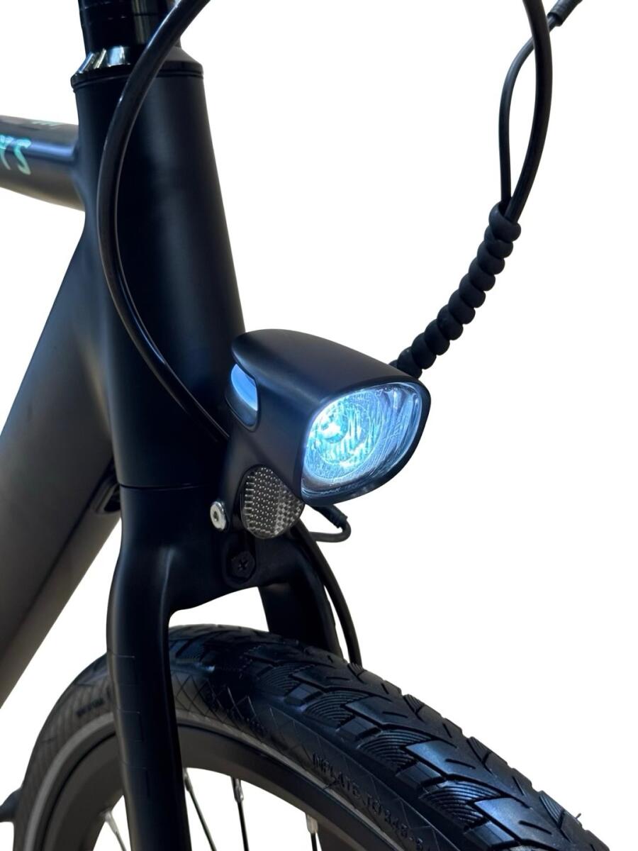 Tenways CGO600 E-Bike Single-Speed 2023 (5)