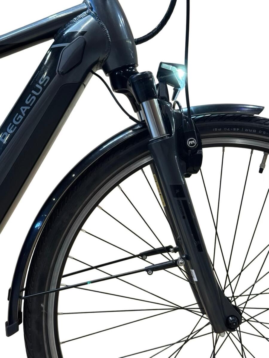 Pegasus Premio Evo 5 Belt E-Bike Shimano Nexus 2022 (4)