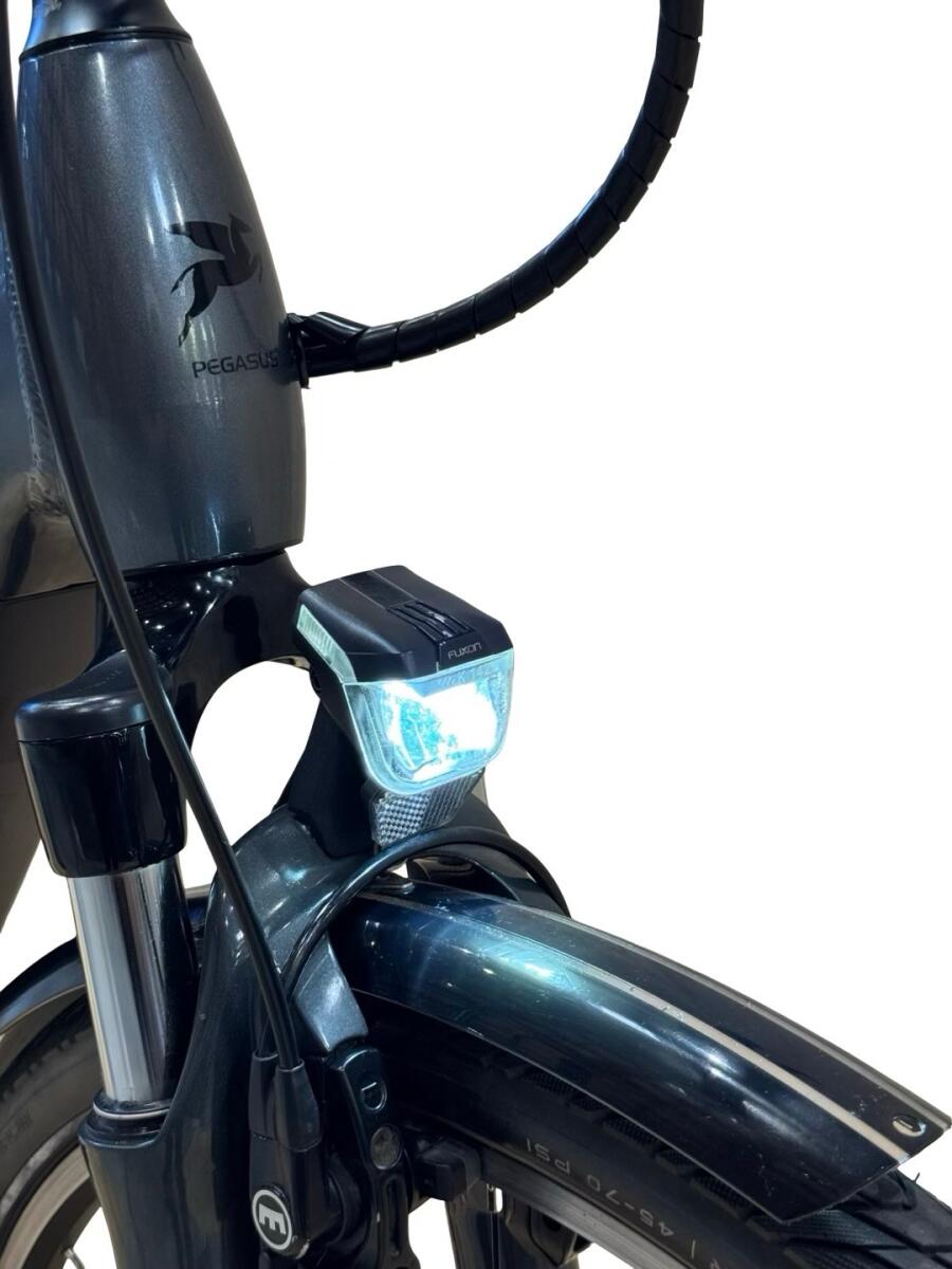 Pegasus Premio Evo 5 Belt E-Bike Shimano Nexus 2022 (5)