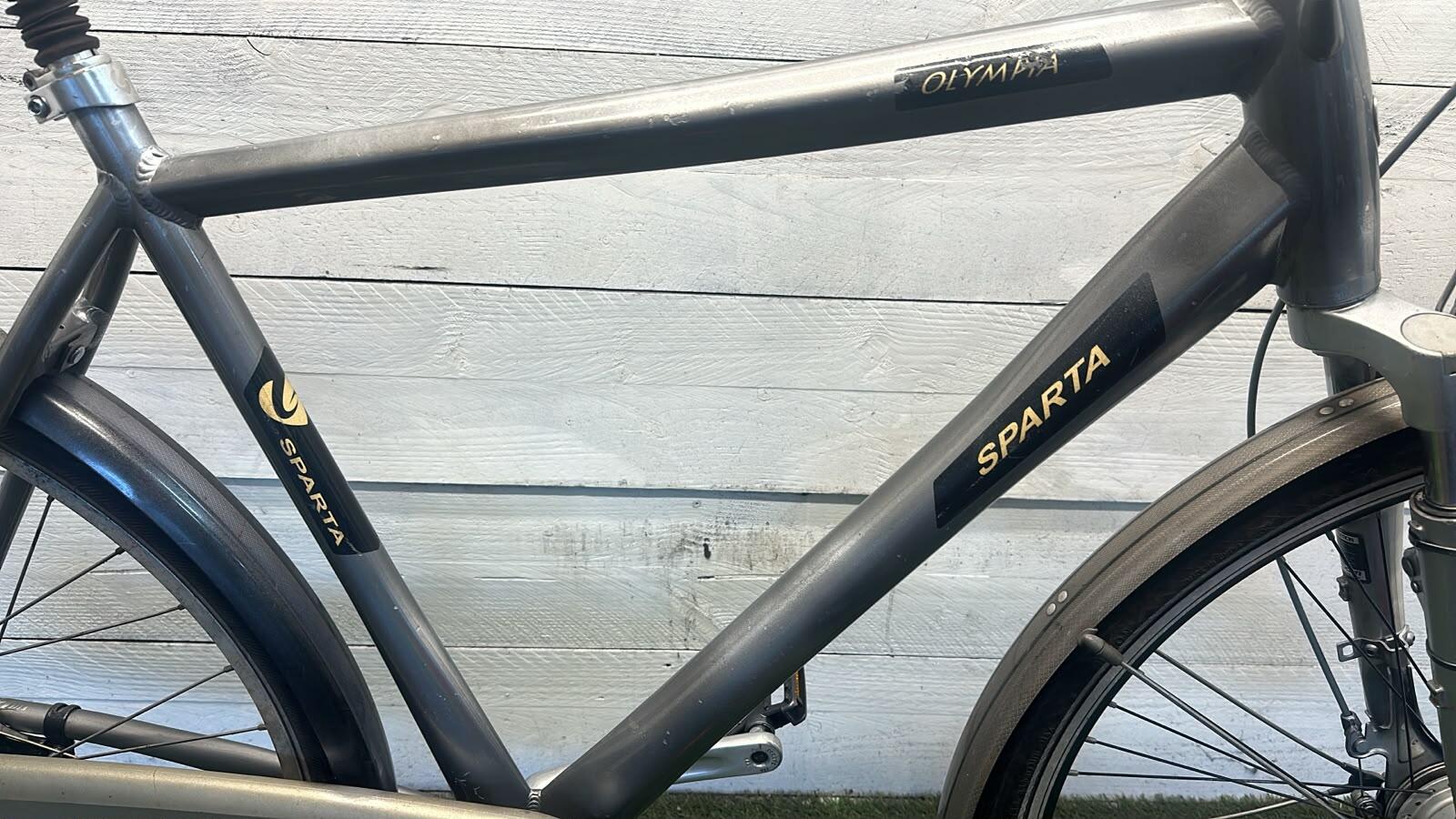 Olympia city bike, grey/metal (3)