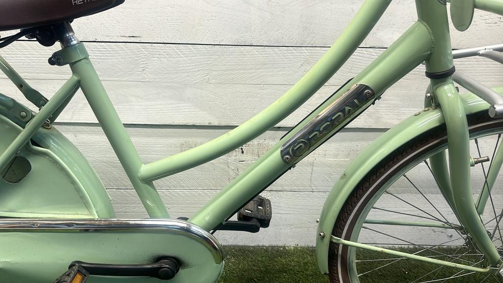 Popal transport city bike, green (3)